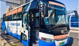 青岛公交车爆料新闻最新消息,乘客安全事件引发社会关注