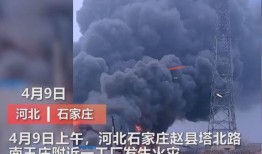王庄最新爆料消息视频播放