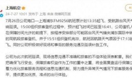 延误航班最新爆料,揭秘最新爆料背后的真相