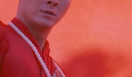 光头最新爆料,揭秘娱乐圈惊人内幕