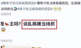 刘大锤最新爆料tnt,TNT全新爆料，带你领略科技前沿魅力