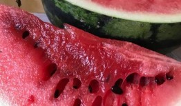 固始最新瓜爆料,揭秘最新瓜爆料背后的故事